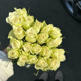 Роза Кения