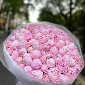 101 пион