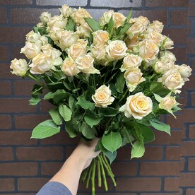 Роза кустовая