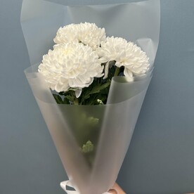 Хризантема антонов, Авторская упаковка