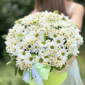 Хризантема кустовая, Танацетум, Рускус, Шляпная коробка, Оазис