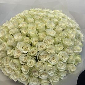 Букет из 101 белой розы 50 см