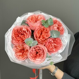 Пионовидные розы Кэнди экспрешн