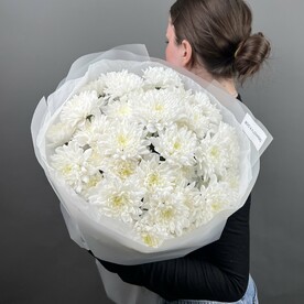 Букет из 7 кустовых хризантем