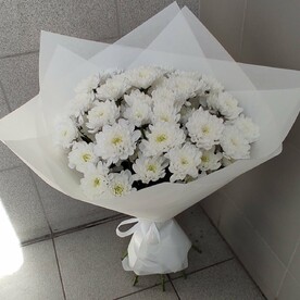 Снежанна