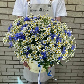 Коробка с васильками и ромашкой