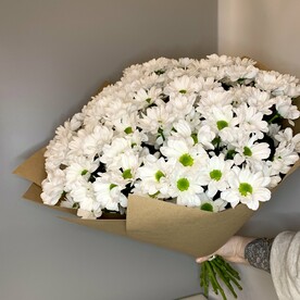 Кустовые хризантемы в крафте 15