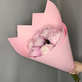 Пионы в розовом