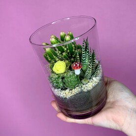 Флорариум Кактусы и суккулент 🌵