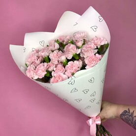 Диантусы кустовые 17