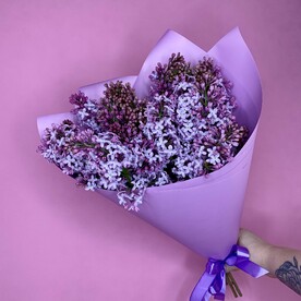 Ароматная сирень в сиреневом 5
