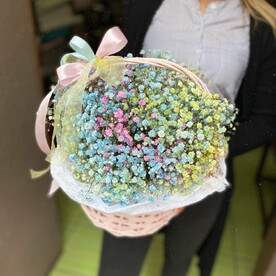 Гипсофила радужная в корзинке