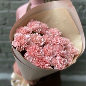 19 нежных гвоздик