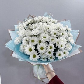 Букет из 11 ромашковых белых Хризантем
