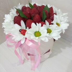 Хризантема кустовая, Пистация, Клубника