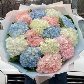 Гортензия, Дизайнерская упаковка