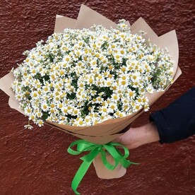 Букет из кустовых ромашек