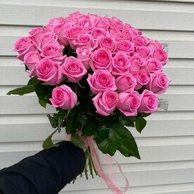 Роза розовая
