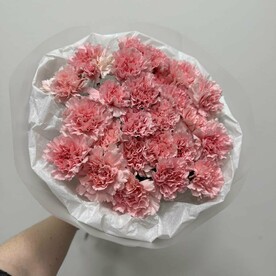 Букет из 25 розовых гвоздик