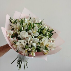 19 белых альстромерий