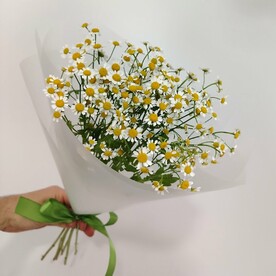 Танацетум, Дизайнерская упаковка