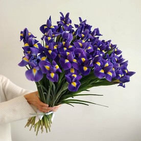 Букет из 49 ирисов