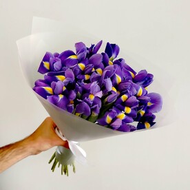 Букет из 25 ирисов