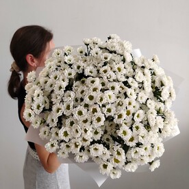 Хризантема сантини, Авторская упаковка