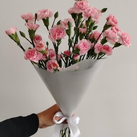 9 кустовых гвоздик