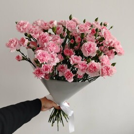29 кустовых гвоздик