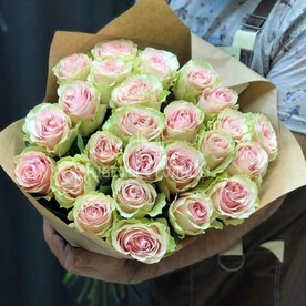 Роза, Бумага