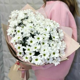 Букет ромашек размер l