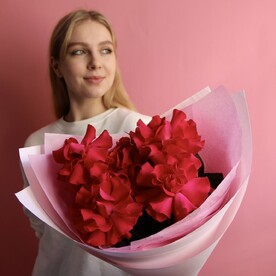 Алые французские розы