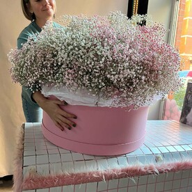 Гигантский букет из гипсофилы