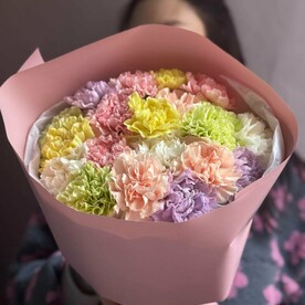 Разноцветные гвоздики