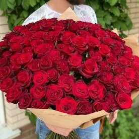 101 шт Красная роза 50см