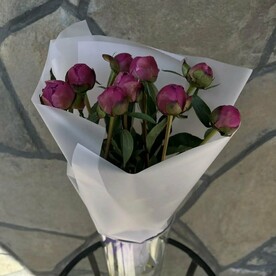 Пионы розовые 9шт