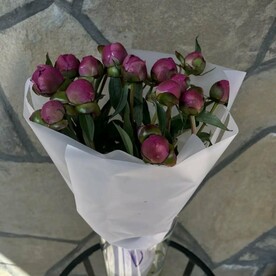 Пионы розовые 15шт