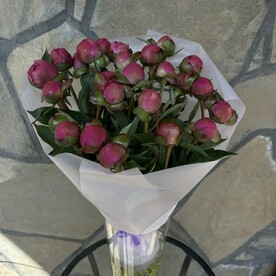Пионы розовые 25шт
