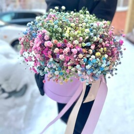 Гипсофила в коробке