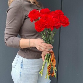Красные гвоздики 9 штук
