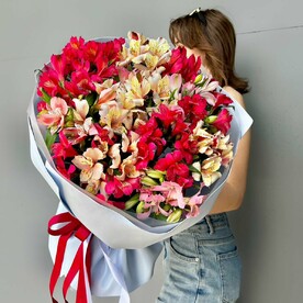 Пышный букет альстромерий