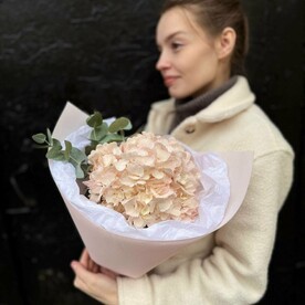 Букет комплимент из розовой гортензии и эвкалипта