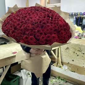 301 высокая свежая роза