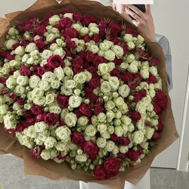 Букет из 151 кустовой розы