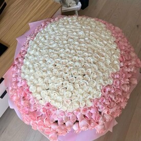 Букет из 351 розы