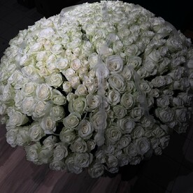 Корзина с 501 розой