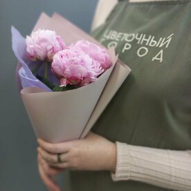 Розовые пионы букет