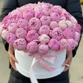 Пион, Шляпная коробка, Оазис, Открытка