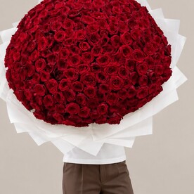 Премиум букет из красной розы, 301 шт., шикарный букет, flowers rose